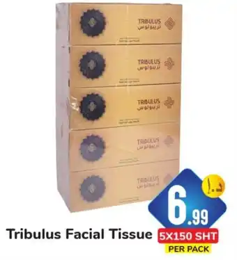 Day To Day Tribulus Facial Tissue 5x150 SHT Per Pack offer