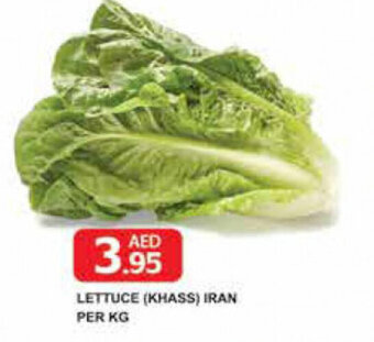 Safeer Market Lettuce (Khass) Iran per kg offer