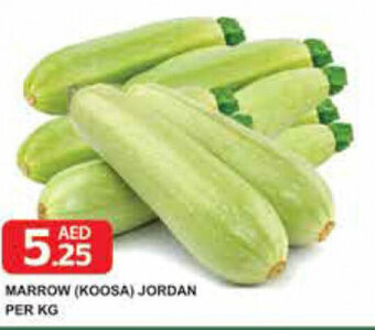 Safeer Market Marrow (Koosa) Jordan per kg offer