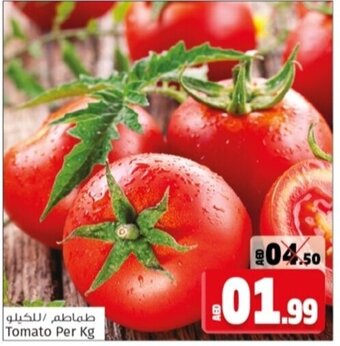 Kenz Hypermarket Tomato Per Kg offer