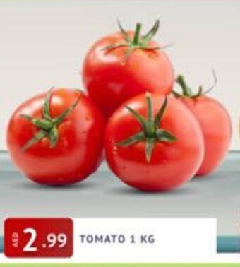 Abraj Al Madina Tomato 1 kg offer