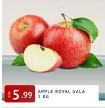 Abraj Al Madina Apple royal gala 1 kg offer