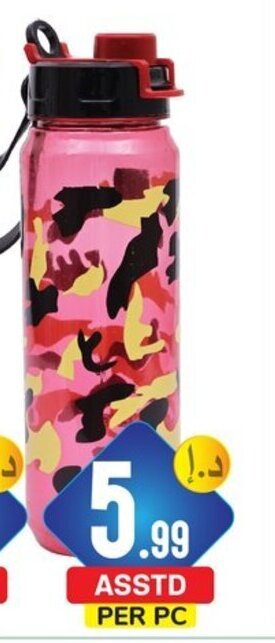 Day To Day Water Bottle Asstd offer