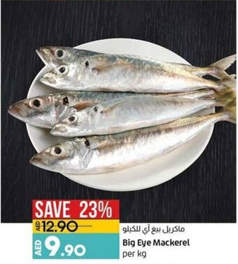 Lulu Hypermarket Big eye mackerel per kg offer
