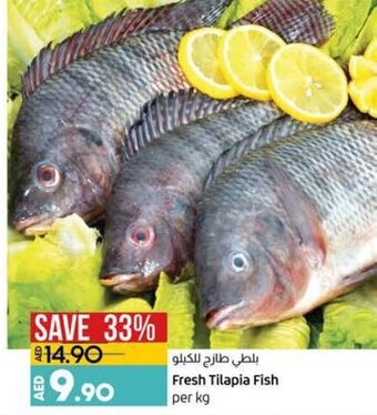 Lulu Hypermarket Fresh tilapia fish per kg offer