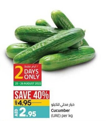 Lulu Hypermarket Cucumber (UAE) per kg offer