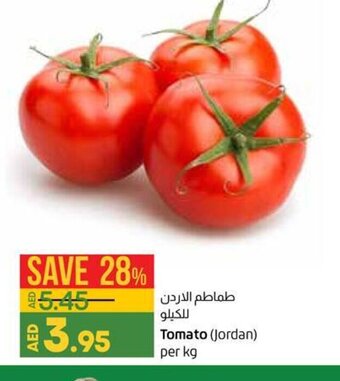 Lulu Hypermarket Tomato (Jordan) per kg offer