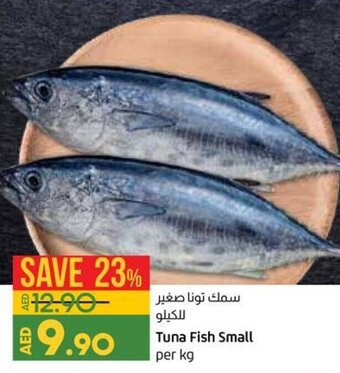 Lulu Hypermarket Tuna Fish Small per kg offer