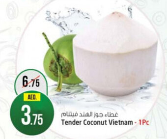 Safari Hypermarket Tender Coconut Vietnam - 1pc offer