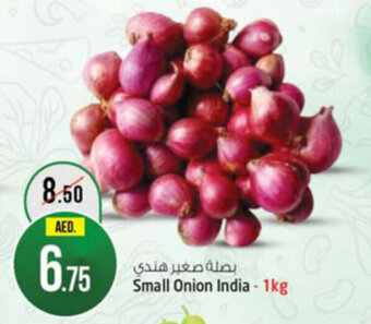 Safari Hypermarket Small Onion India-1kg offer