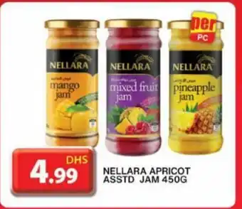 Grand Hyper Market Nellara apricot asstd jam 450g offer