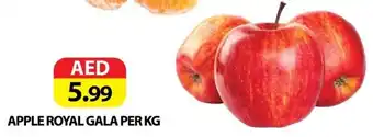 Apple royal gala per kg