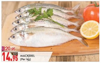 KM Trading Mackerel Per Kg offer