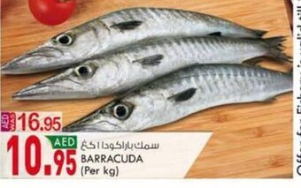 KM Trading Barracuda (per kg) offer