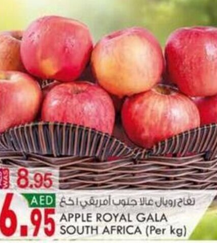 KM Trading Apple royal gala south africa (per kg) offer