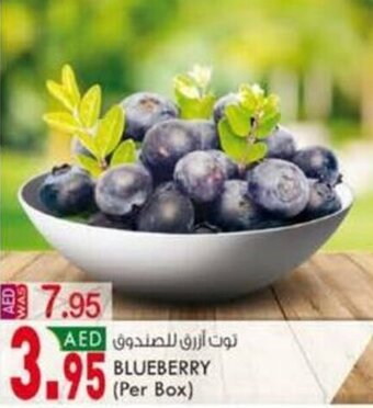 KM Trading Blueberry (per box) offer