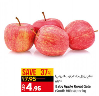Lulu Hypermarket Baby apple royal gala (South Africa) per KG offer