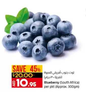 Lulu Hypermarket Blueberry (South Africa) per pkt (approx. 300GM) offer