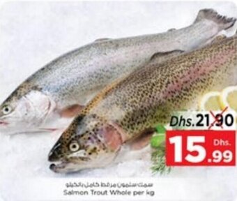 Nesto Salmon Trout Whole per kg offer
