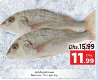 Nesto Nehroor Fish per kg offer