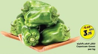 Nesto Capsicum Green per kg offer