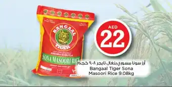 Nesto Bangaal Tiger Sona Masoori Rice 9.08kg offer