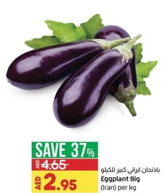 Lulu Hypermarket Eggplant big (Iran) per KG offer
