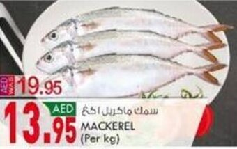KM Trading Mackerel (per kg) offer