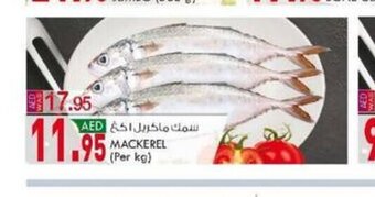 KM Trading Mackerel (per kg) offer