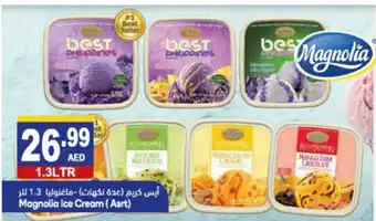 Almaya supermarket Magnolia ice cream (ASRT) 1.3LTR offer