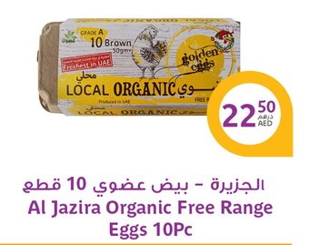 Aswaaq Al Jazira Organic Free Range Eggs 10pc offer