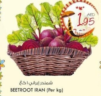KM Trading Beetroot Iran (per KG) offer