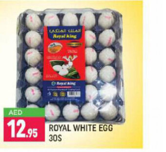 Shaklan Royal white egg 30s offer