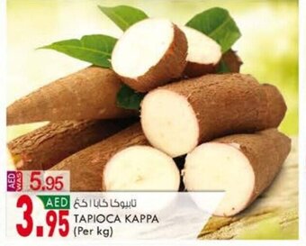 KM Trading Tapioca kappa (per KG) offer