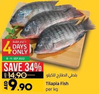 Lulu Hypermarket Tilapia Fish per kg offer