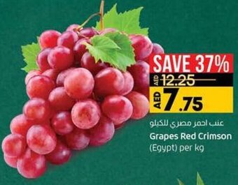 Lulu Hypermarket Grapes Red Crimson (Egypt) offer