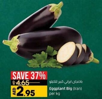 Lulu Hypermarket Eggplant Big (Iran) offer