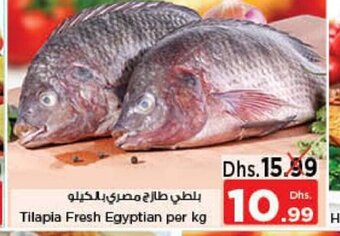 Nesto Tilapia fresh egyptian per kg offer