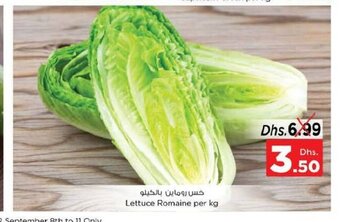 Nesto Lettuce romaine per kg offer