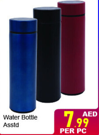Day To Day Water Bottle Asstd offer
