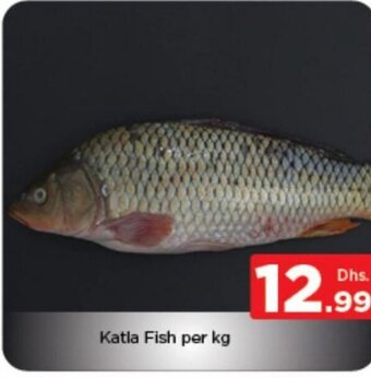 Nesto Katla fish per kg offer