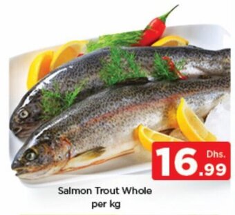 Nesto Salmon trout whole per kg offer