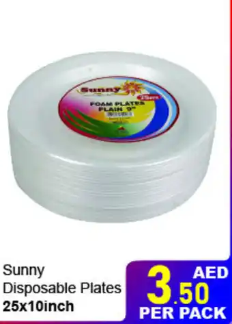 Day To Day Sunny Disposable Plates 25x10inch offer