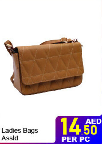 Day To Day Ladies Bags Asstd offer