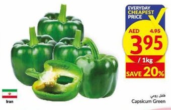 Viva Capsicum Green offer