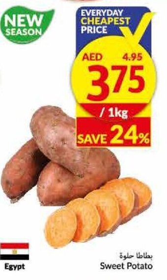 Viva Sweet Potato offer