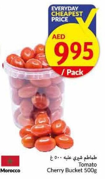 Viva Tomato Cherry Bucket 500g offer