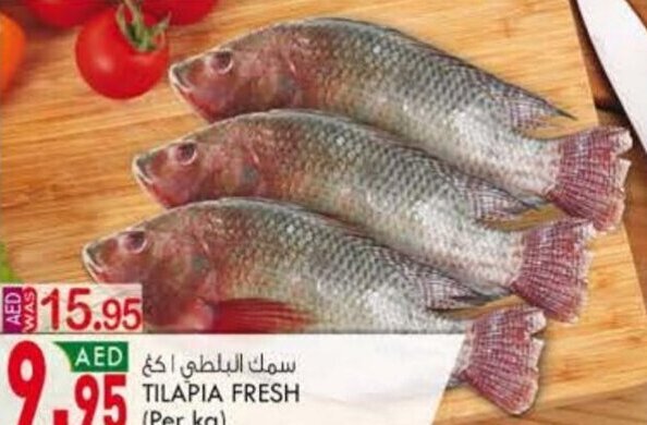 KM Trading Tilapia Fresh offer