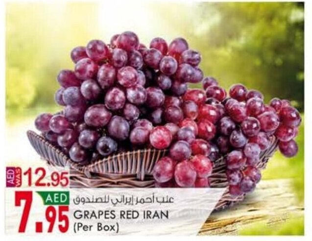 KM Trading Grapes Red Iran offer
