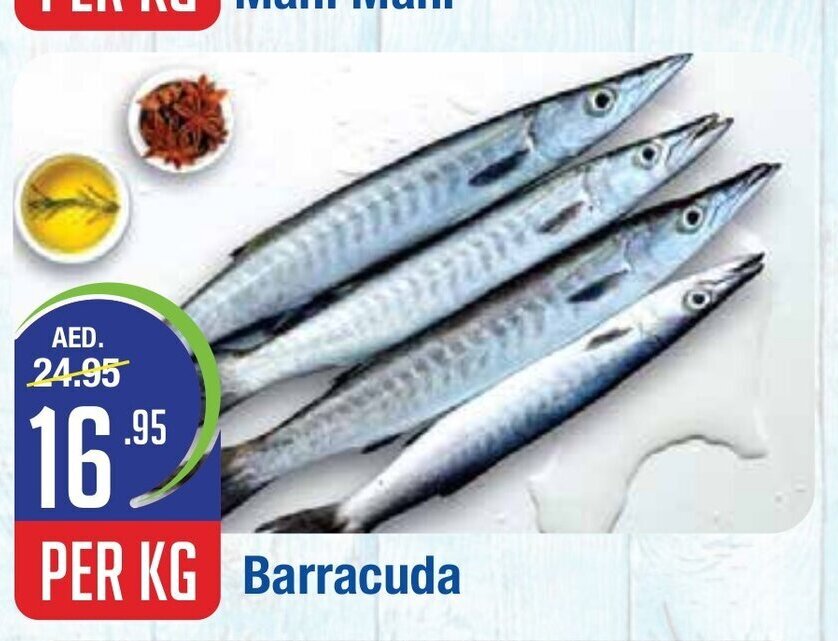 West Zone Supermarket Barracuda per kg offer